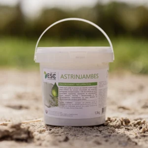 ASTRINJAMBES - Clay enriched with essential oils - Recuperation and tendon engorgement – 13kg