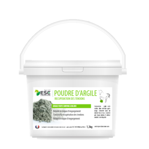 POUDRE D’ARGILE – Argile riche en nutriments à reconstituer – Récupération tendons cheval