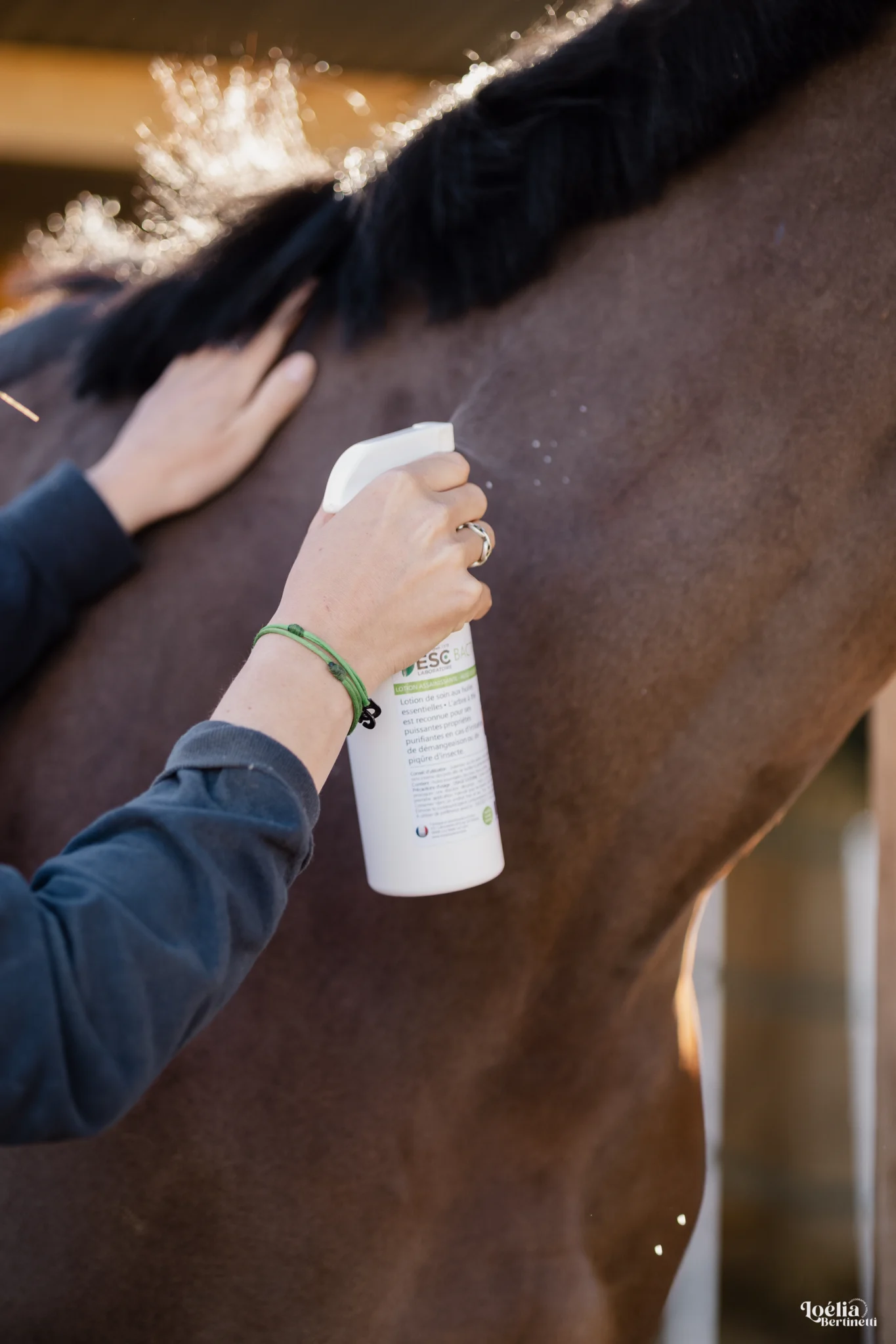 Bacticrin utilisation sur un cheval - ESC Laboratoire
