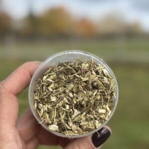 ECHINACEE – Défenses immunitaires cheval – Plante pure