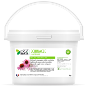 ECHINACEE - Immune defences for horses - Pure plant