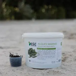 ALGUES MARINES – Fatigue et baisse de forme cheval – Plante pure