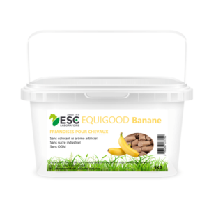 EQUIGOOD FRUIT BANANE 5kg – Friandises pour chevaux