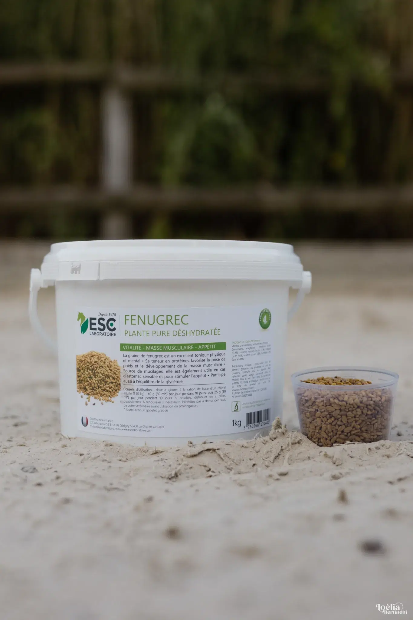 FENUGREC - État et muscles cheval - Source de protéines – Image 2