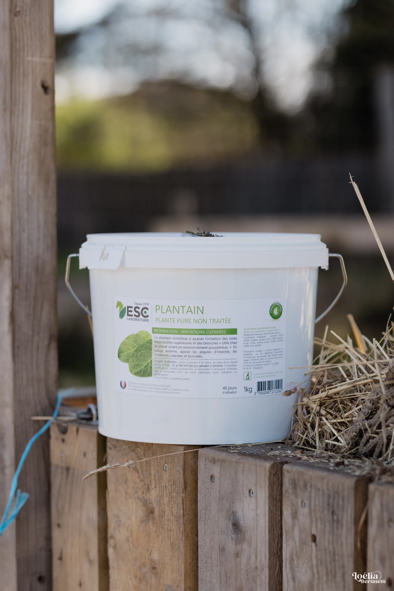 Plantain ESC Laboratoire