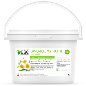 CAMOMILLE MATRICAIRE – Stress et inconfort digestif cheval – Plante pure