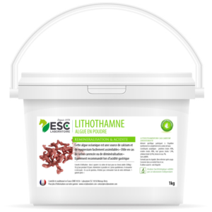 LITHOTHAMN - Remineralization and gastric acidity horse - Pure plant