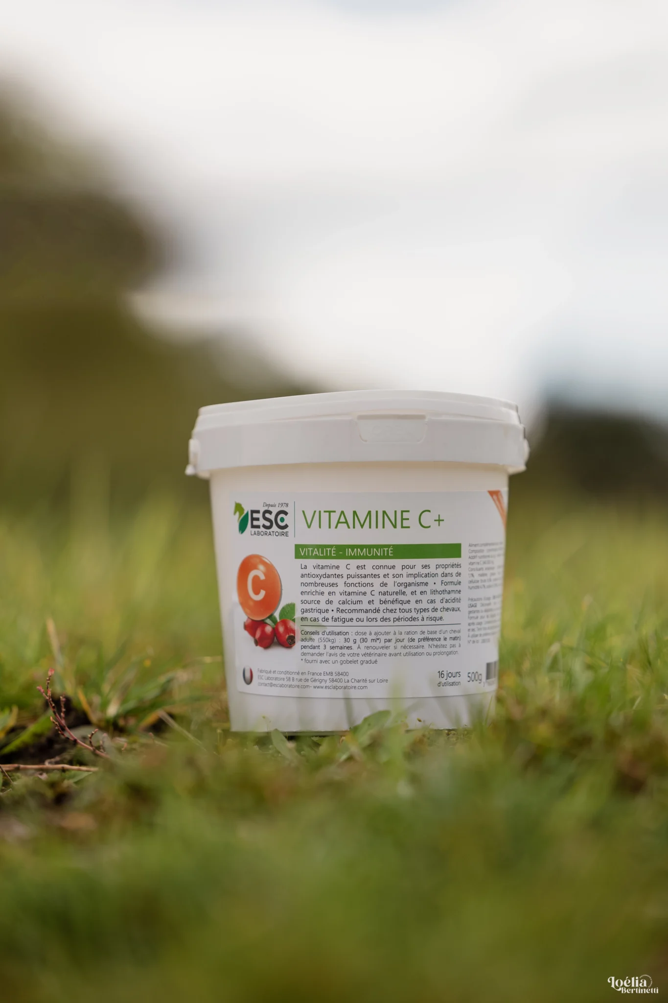 Vitamine-C pour immunité cheval