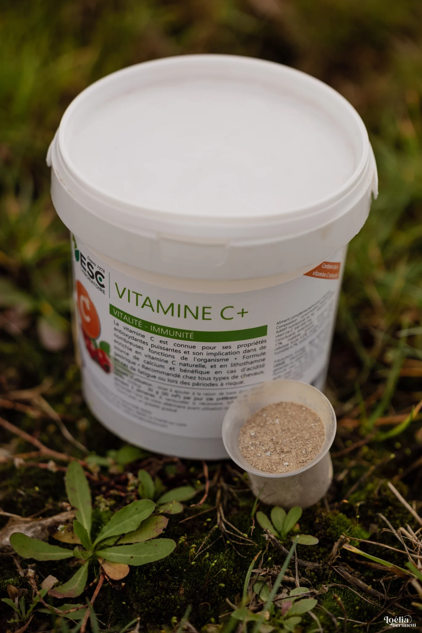 VITAMINE C+ - Soutien de l'effort du cheval - Contient de la vitamine C naturelle – Image 3