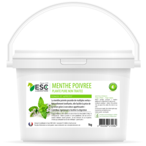 MENTHE POIVREE – Estomac sensible cheval – Plante pure