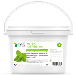 MELISSE – Estomac sensible et acidité gastrique cheval – Plante pure