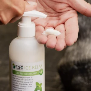 ICE RELAX – Arnica + menthe – Gel rafraîchissant cheval