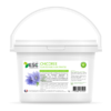 CHICOREE - Digestion du cheval et flore intestinale - Plante pure