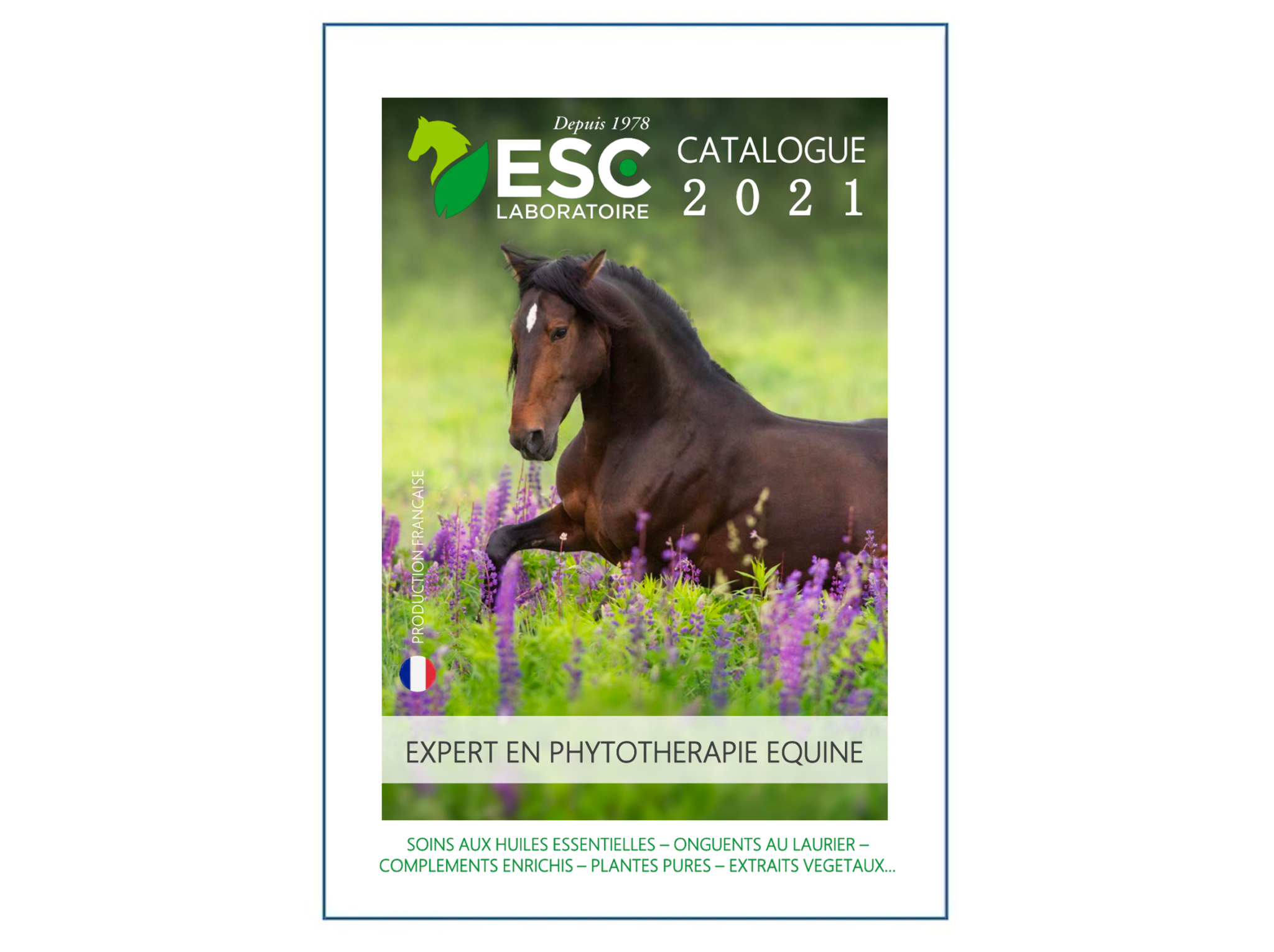 Lire la suite à propos de l’article Le catalogue 2021 est arrivé !