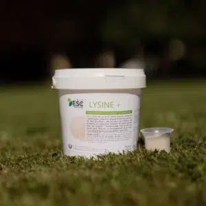 LYSINE + – Soutien de l’effort et développement musculaire cheval