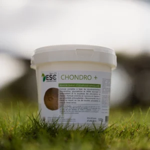 CHONDRO + – Chondroprotecteurs, Boswellia et Ortie – Renforcement et souplesse articulaire cheval