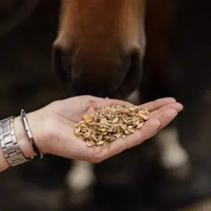 PHYTOMASH – Hydratation et récupération cheval