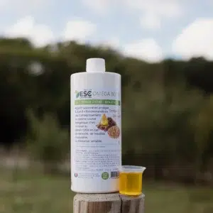 OMEGA BOOST – Recovery of horse condition and ration balance