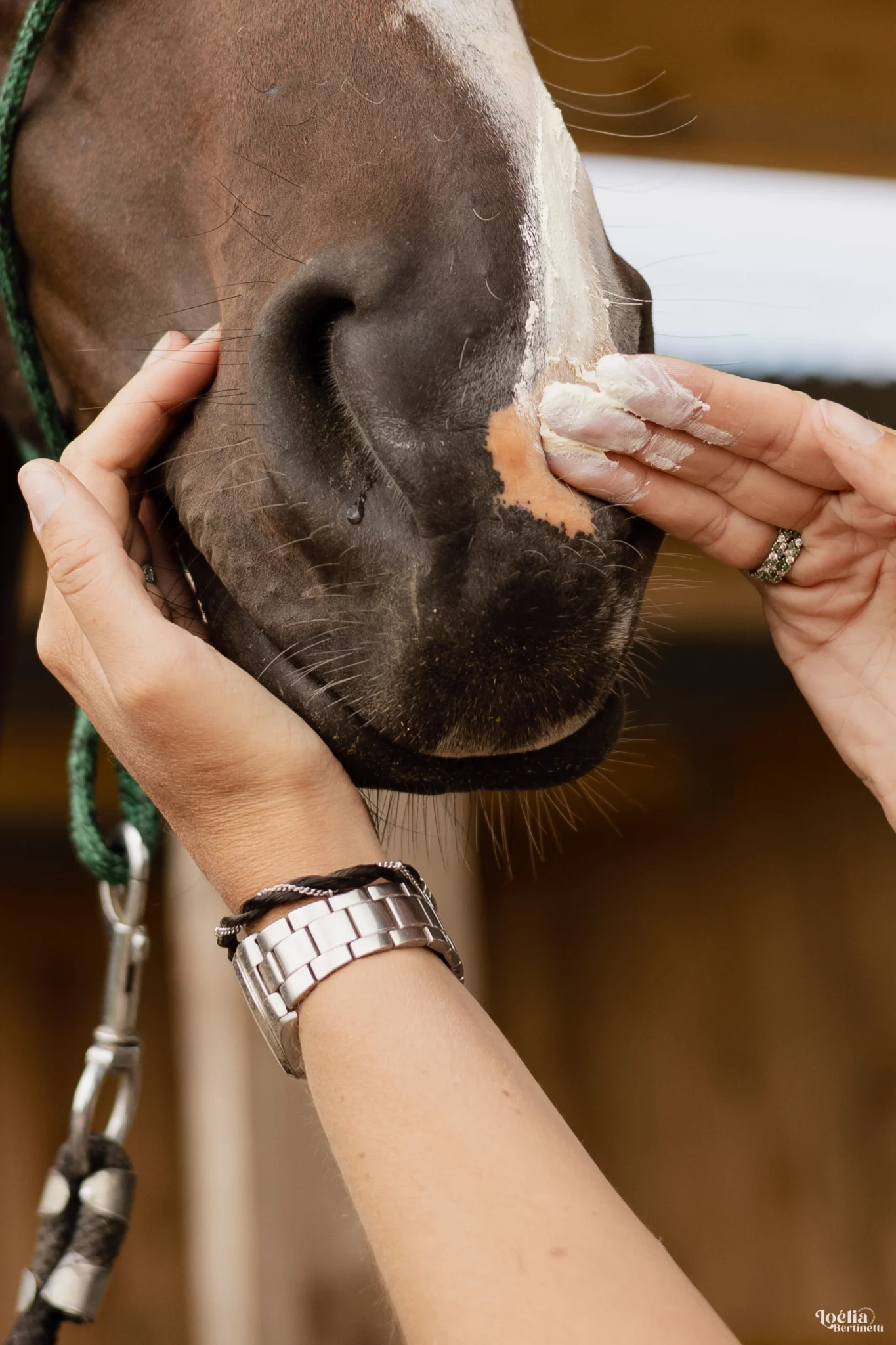 COCO PROTECT - Crème solaire protectrice cheval – Image 5