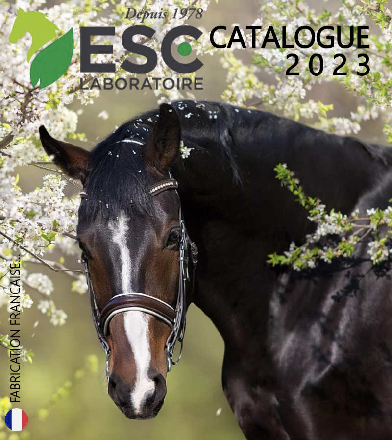 Lire la suite à propos de l’article Le catalogue 2023 est arrivé !