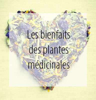 ESC Laboratoire conseil phyto