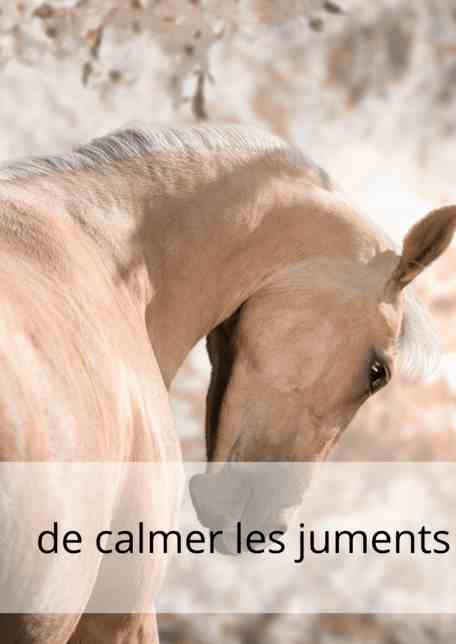 ESC Laboratoire calmer les juments