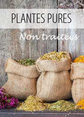 ESC Laboratoire plantes pures