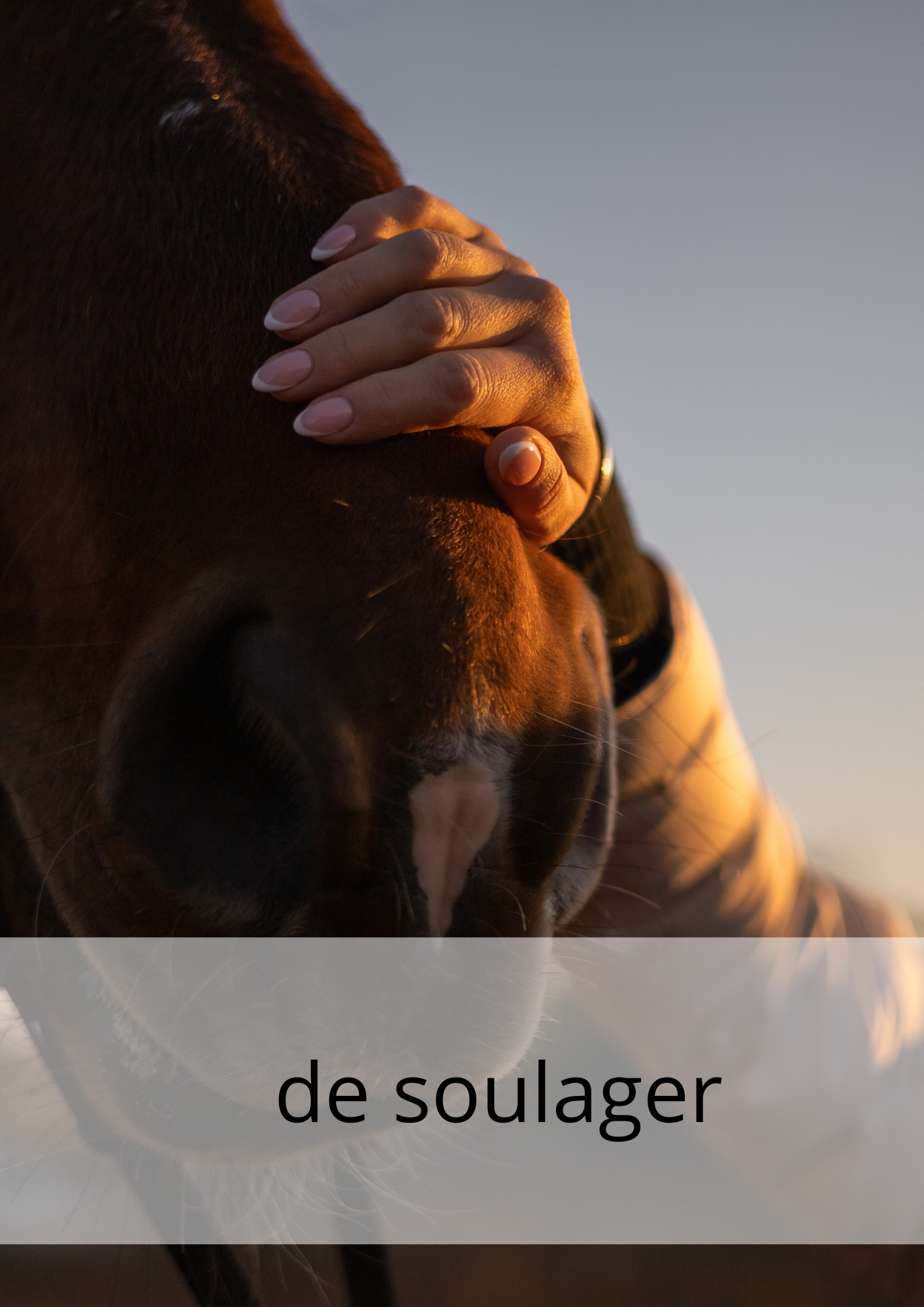equipulm