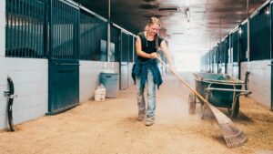 Une bonne hygiène des box est nécessaire pour lutter contre l'emphysème du cheval.