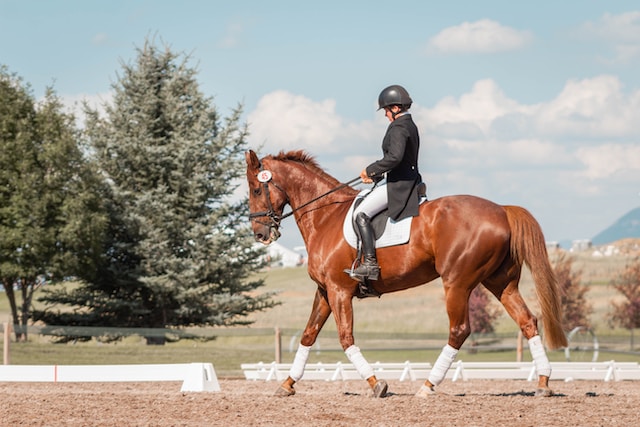 Plants to relieve emphysema in horses