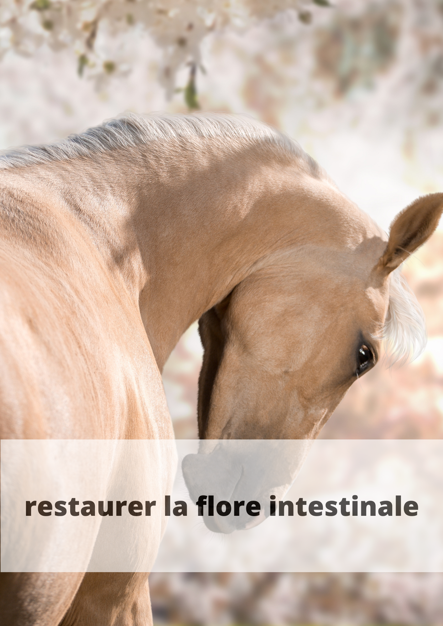 equidigest