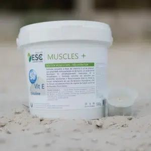MUSCLES + – Soutien et récupération musculaire cheval