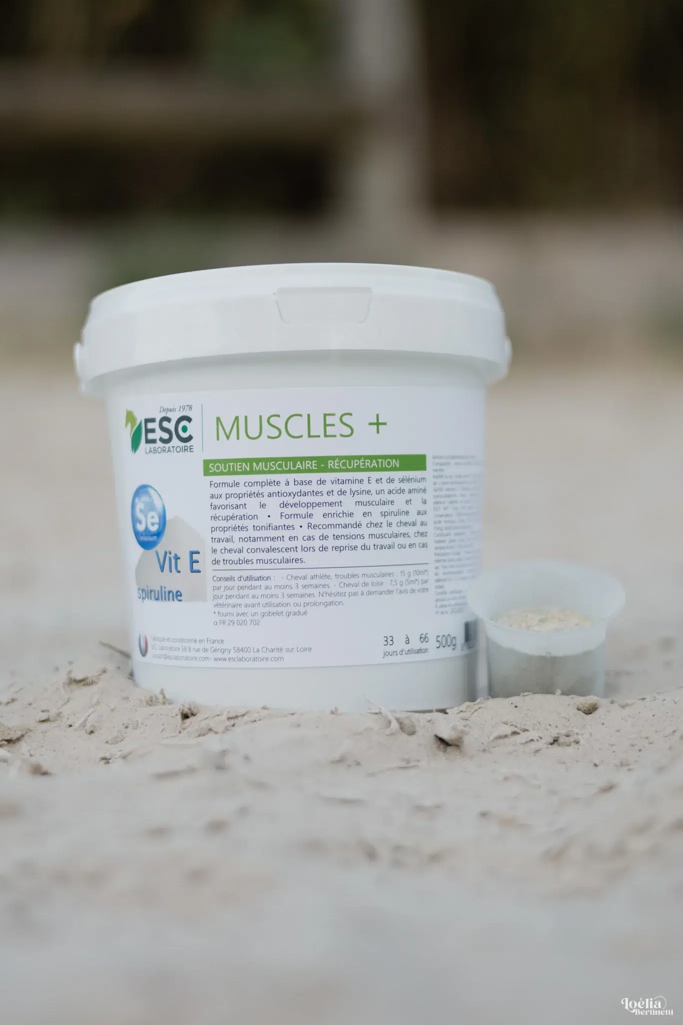 Muscles+ ESC Laboratoire