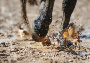 Tout savoir sur la Gale de boue : symptômes, solutions