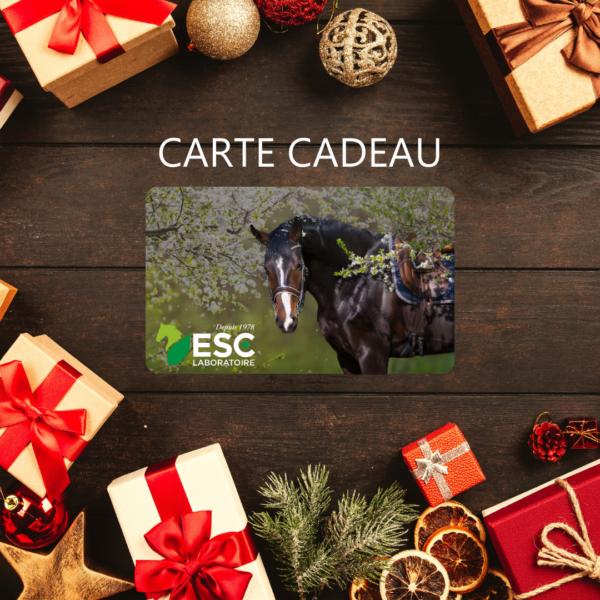 Carte cadeau
