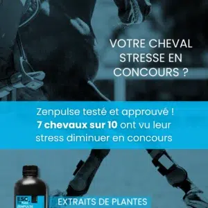 ZENPULSE – Detraction and concentration of sports horse – ESC Propulse