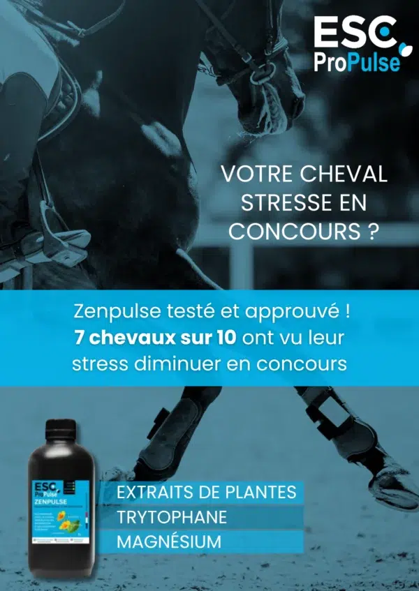 Zenpulse- Stress cheval concours_ ESC