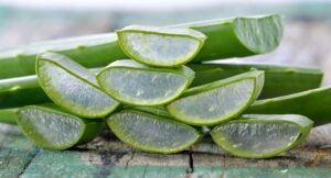 Les bienfaits de l'aloe vera pour les chevaux