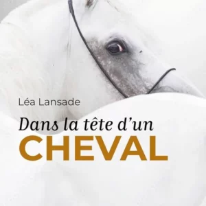 Dans la tête d’un cheval
