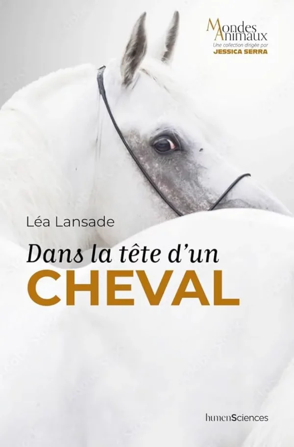 Dans la tête d'un cheval