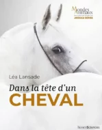 dans la tête d'un cheval