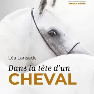 Dans la tête d’un cheval