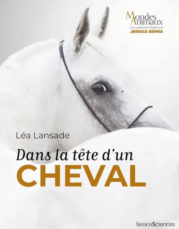 dans la tête d'un cheval