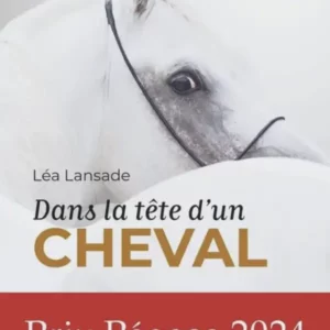 Dans la tête d’un cheval