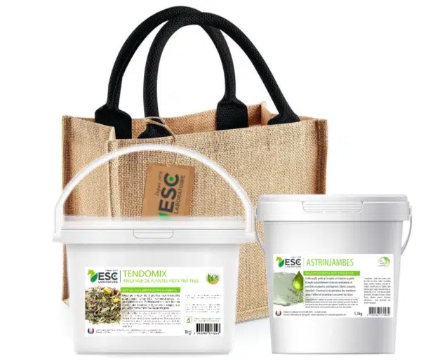 bag ESC AVRIL