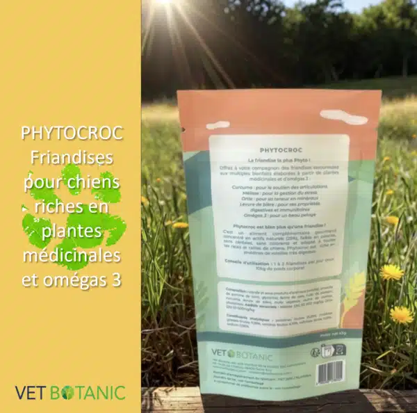 PHYTOCROC - Friandises aux plantes pour chiens – Image 2