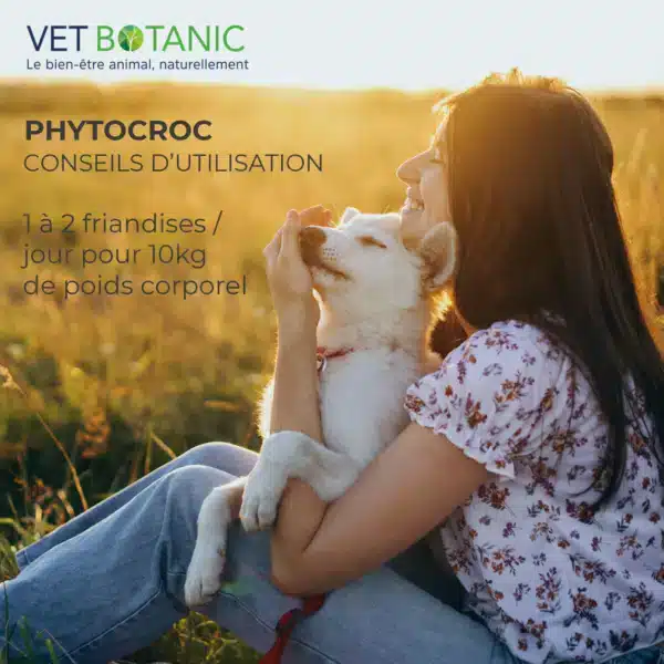 PHYTOCROC - Friandises aux plantes pour chiens – Image 3