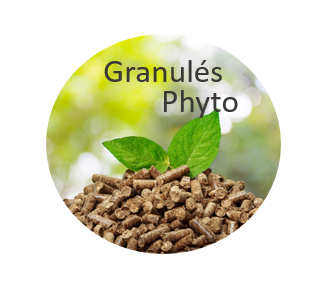 Evalar Troichatka - 90 Gélules Contre Les Parasites Intestinaux - Composition Naturelle
