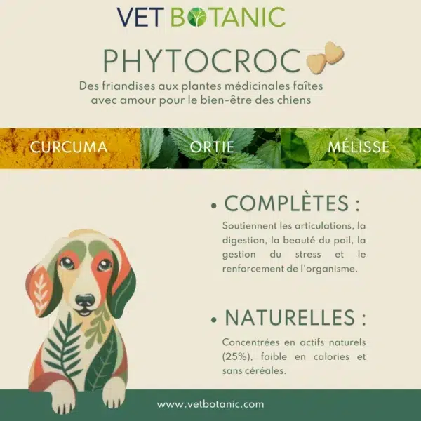 Friandises chien naturelles aux plantes