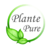 TREFLE ROUGE - Respiration et régulation hormonale cheval - Plante pure – Image 3